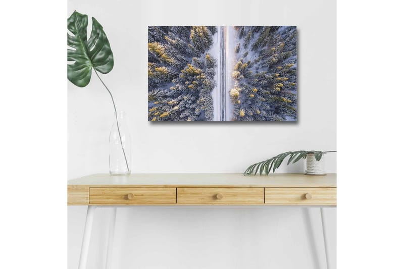 Canvastavla med LED-belysning - Vinterlandskap med snötäckta träd och en väg som sträcker sig genom skogen - Grå / Grön / Gul - Inredning - Tavlor & konst - Canvastavlor