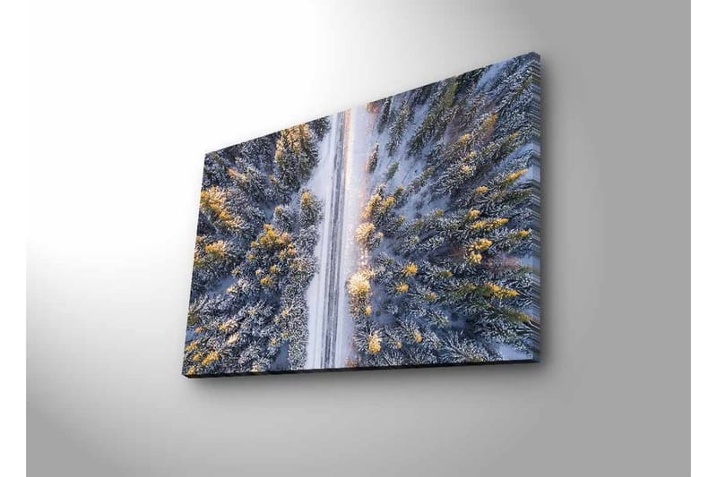 Canvastavla med LED-belysning - Vinterlandskap med snötäckta träd och en väg som sträcker sig genom skogen - Grå / Grön / Gul - Inredning - Tavlor & konst - Canvastavlor