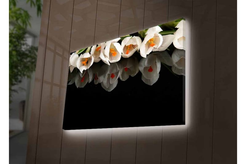 Canvastavla med LED-belysning - Vit blomsterbukett med reflektion på svart bakgrund - Vit / Orange / Grön - Inredning - Tavlor & konst - Canvastavlor