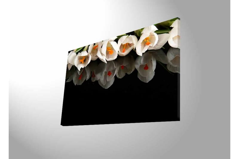 Canvastavla med LED-belysning - Vit blomsterbukett med reflektion på svart bakgrund - Vit / Orange / Grön - Inredning - Tavlor & konst - Canvastavlor