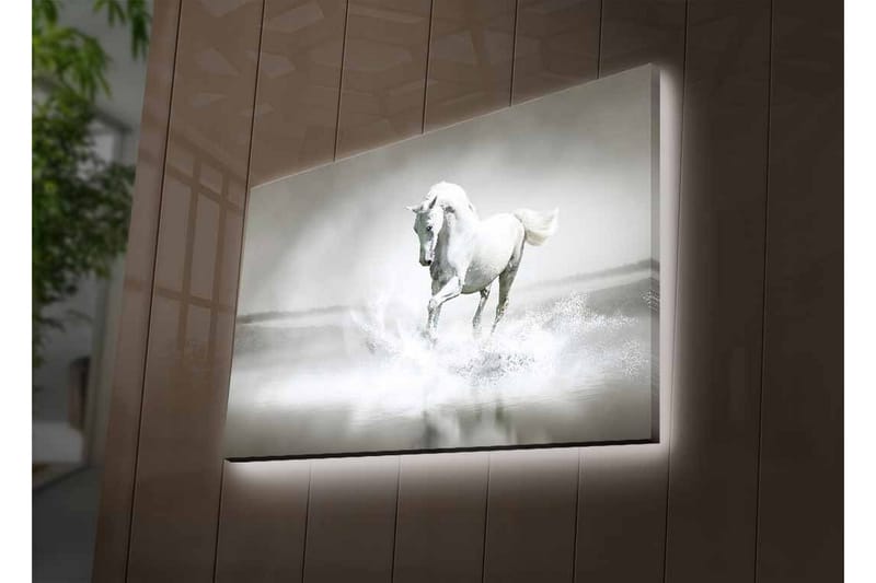 Canvastavla med LED-belysning - Vit häst som sprutar vatten i en dimmig miljö - Vit / Grå - Inredning - Tavlor & konst - Canvastavlor