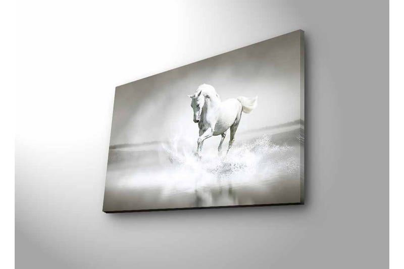 Canvastavla med LED-belysning - Vit häst som sprutar vatten i en dimmig miljö - Vit / Grå - Inredning - Tavlor & konst - Canvastavlor