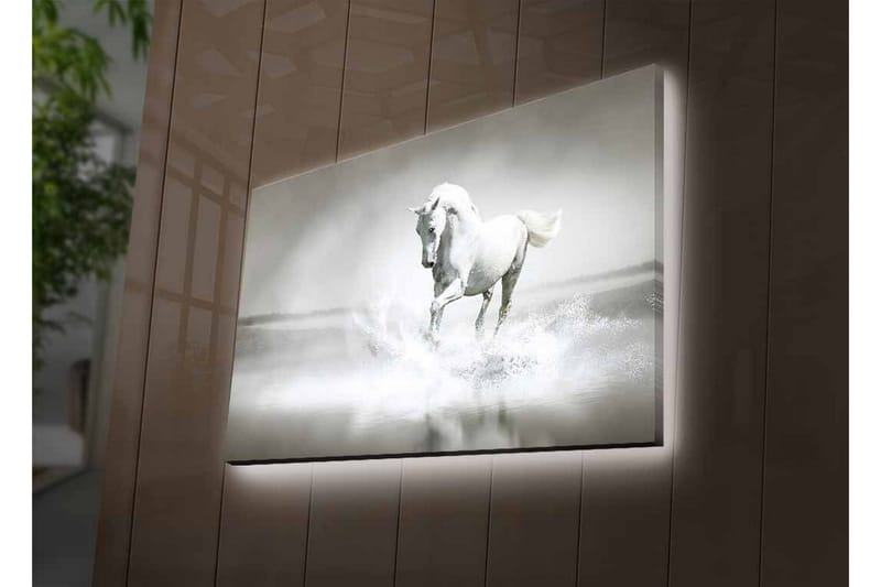 Canvastavla med LED-belysning - Vit häst som sprutar vatten i en dimmig miljö - Vit / Grå - Inredning - Tavlor & konst - Canvastavlor