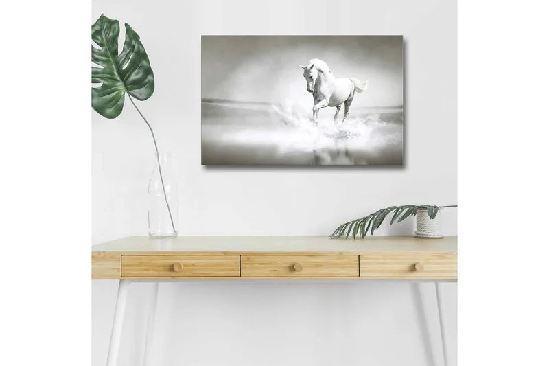 Canvastavla med LED-belysning - Vit häst som sprutar vatten i en dimmig miljö, Vit / Grå
