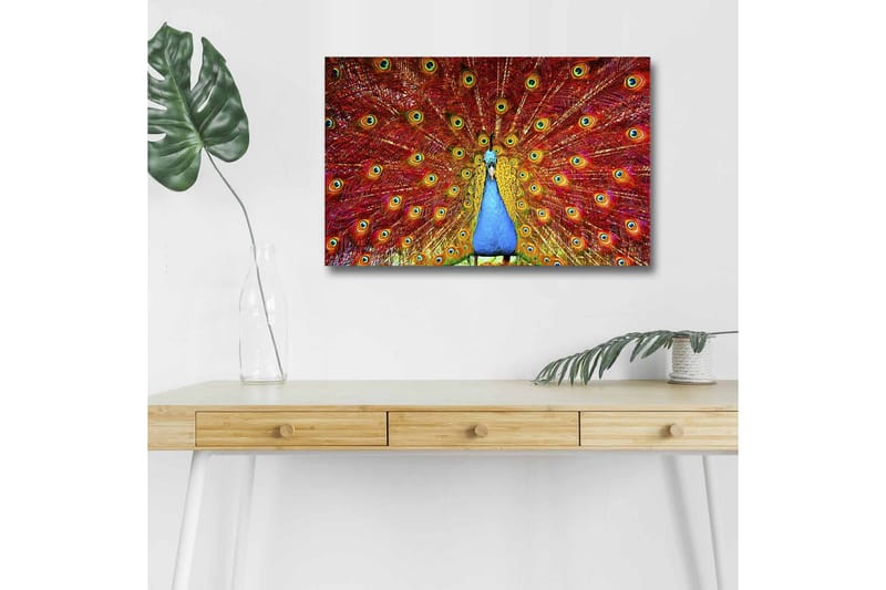 Canvastavla med LED-belysning - Praktfull påfågel med utspridda fjädrar i livfulla färger - Röd / Blå / Grön - Inredning - Tavlor & konst - Canvastavlor