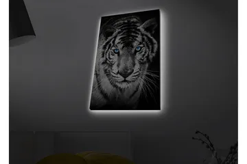 Canvastavla med LED-belysning - Porträtt av en vit tiger med blå ögon - Svart / Vit / Blå - Inredning - Tavlor & konst - Canvastavlor