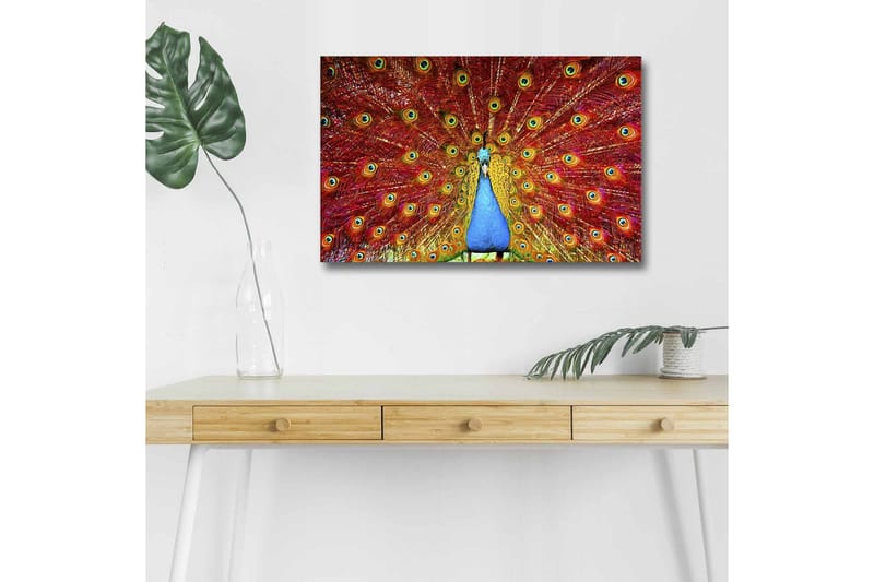 Canvastavla med LED-belysning - Praktfull påfågel med utspridda fjädrar i livfulla färger - Röd / Blå / Grön - Inredning - Tavlor & konst - Canvastavlor