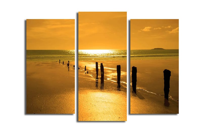 Canvastavla Music 3-pack Flerfärgad, 20x39 cm