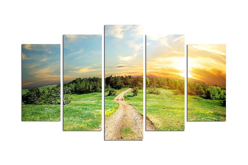 Canvastavla Nature 5-pack Flerfärgad, 20x60 cm