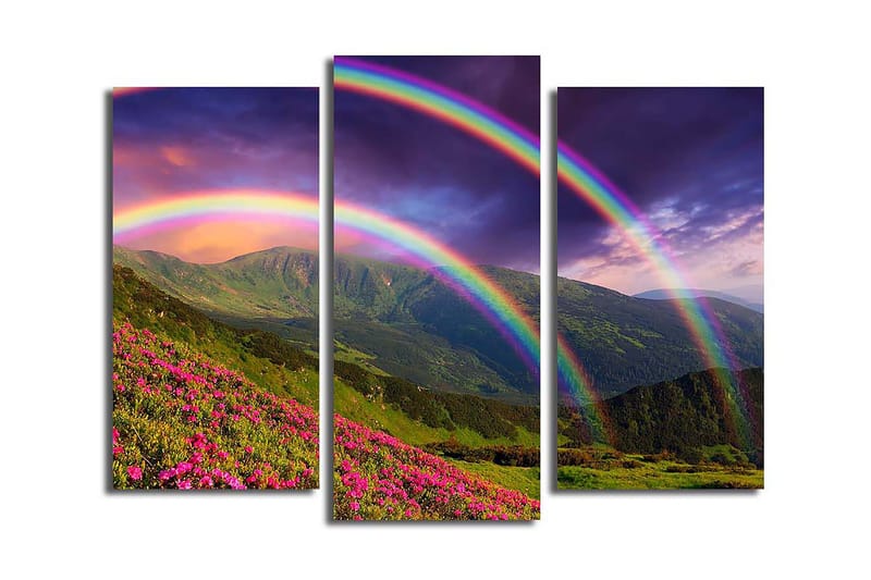 Canvastavla Nautical 3-pack Flerfärgad - 20x39 cm - Inredning - Tavlor & konst - Canvastavlor