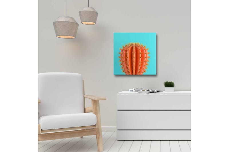 Canvastavla - Orange kaktus med taggar mot en turkos bakgrund - Orange / Turkos - Inredning - Tavlor & konst - Canvastavlor