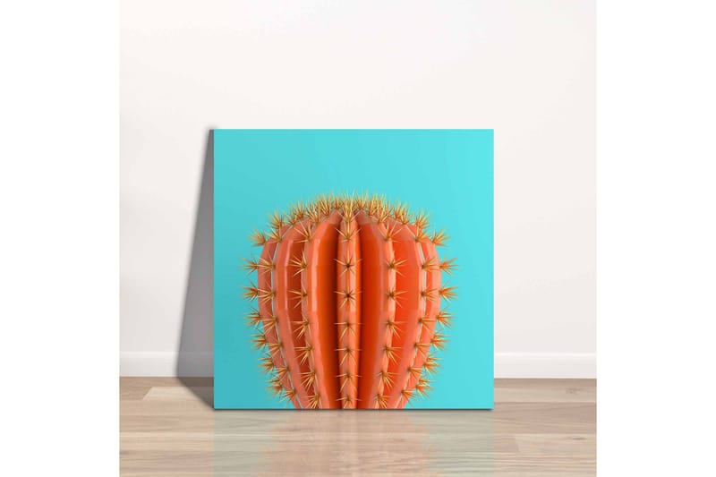 Canvastavla - Orange kaktus med taggar mot en turkos bakgrund - Orange / Turkos - Inredning - Tavlor & konst - Canvastavlor