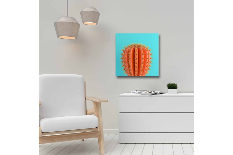 Canvastavla - Orange kaktus med taggar mot en turkos bakgrund - Orange / Turkos - Inredning - Tavlor & konst - Canvastavlor