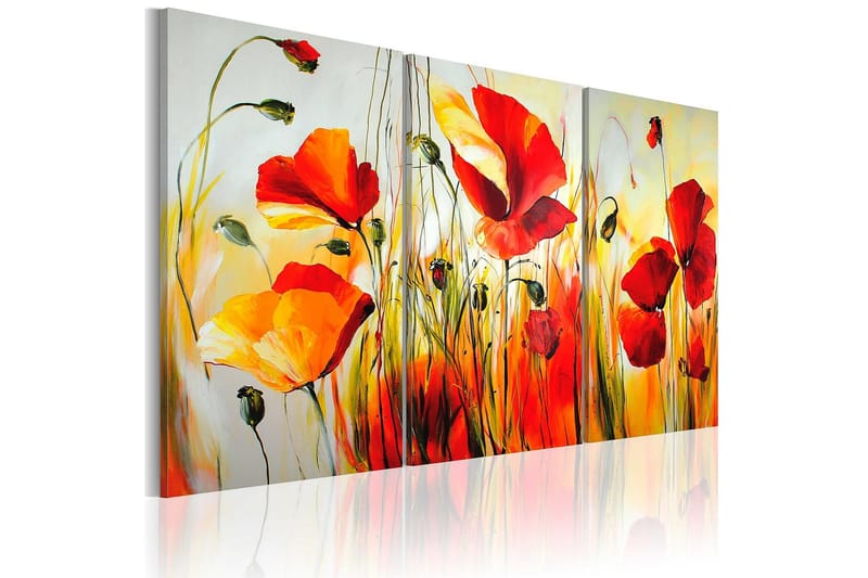 Canvastavla Röd äng 120x80 cm - Artgeist sp. z o. o. - Inredning - Tavlor & konst - Canvastavlor