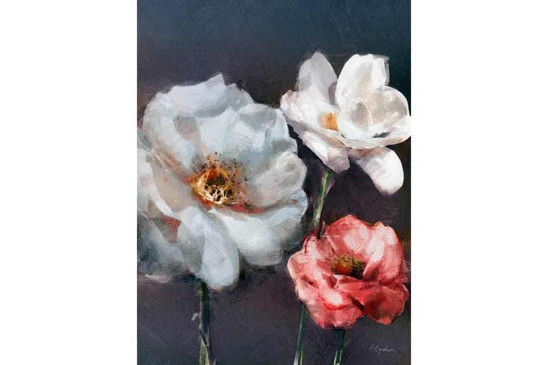 Canvastavla Red Rose - 60x80 cm - Inredning - Tavlor & konst - Canvastavlor