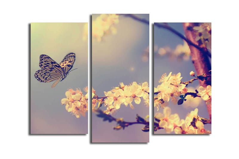 Canvastavla Scenic 3-pack Flerfärgad - 20x39 cm - Inredning - Tavlor & konst - Canvastavlor