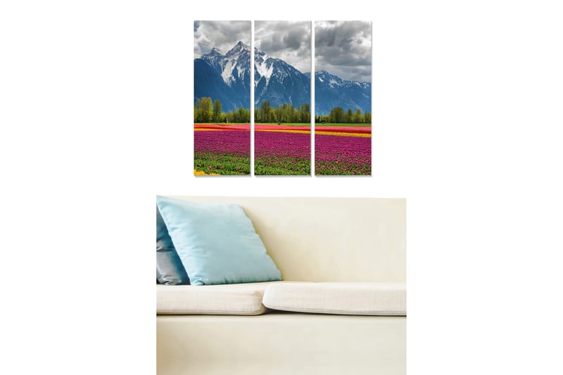 Canvastavla Scenic 3-pack Flerfärgad - 20x50 cm - Canvastavlor