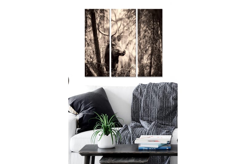 Canvastavla Scenic 3-pack Flerfärgad - 20x50 cm - Inredning - Tavlor & konst - Canvastavlor