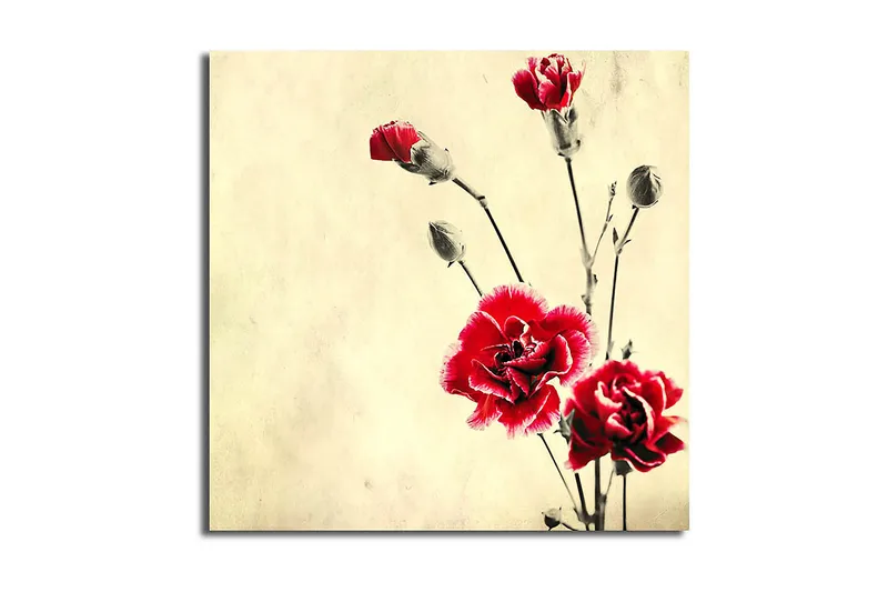 Canvastavla Scenic Flerfärgad, 45x45 cm