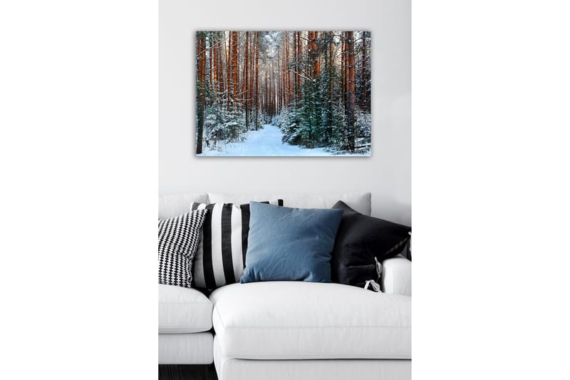 Canvastavla - Snötäckt skog med höga, raka tallar - Grön / Brun / Vit - Inredning - Tavlor & konst - Canvastavlor