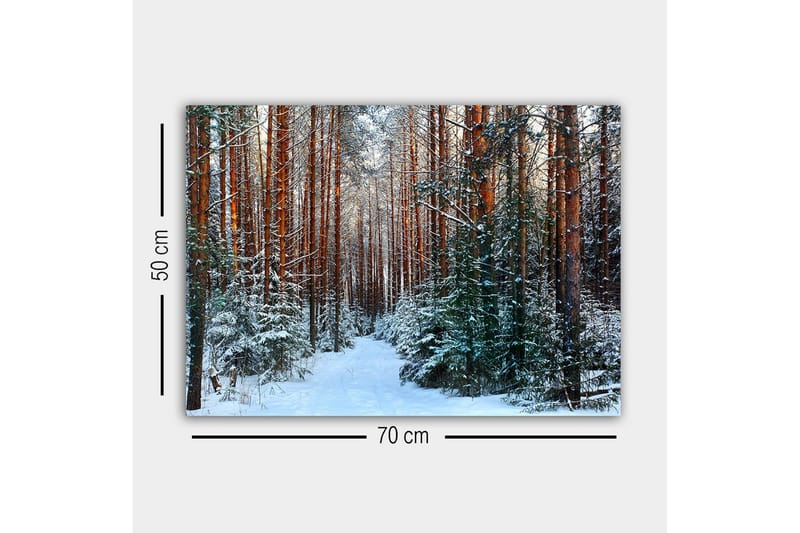 Canvastavla - Snötäckt skog med höga, raka tallar - Grön / Brun / Vit - Inredning - Tavlor & konst - Canvastavlor