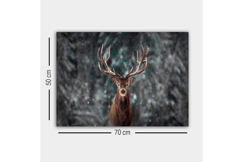 Canvastavla - Ståtlig älg med imponerande horn i snöig skogsmiljö - Brun / Grå / Vit - Inredning - Tavlor & konst - Canvastavlor