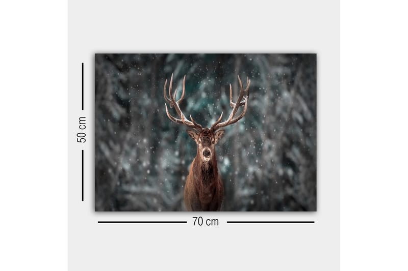 Canvastavla - Ståtlig älg med imponerande horn i snöig skogsmiljö - Brun / Grå / Vit - Inredning - Tavlor & konst - Canvastavlor