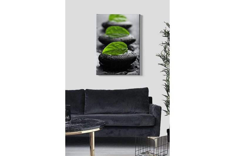 Canvastavla - Stenblock med gröna blad och vattendroppar - Svart / Grön - Inredning - Tavlor & konst - Canvastavlor
