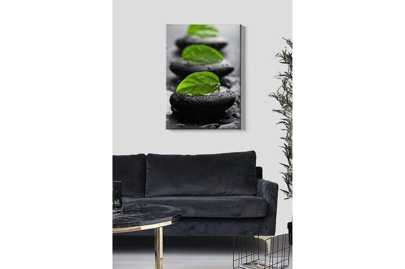 Canvastavla - Stenblock med gröna blad och vattendroppar - Svart / Grön - Inredning - Tavlor & konst - Canvastavlor