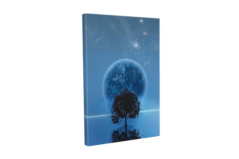 Canvastavla - Stjärnklar natt med en stor måne och silhouett av ett träd vid horisonten, Mörkblå / Svart / Ljusblå