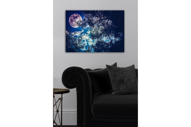 Canvastavla - Storslagen måne som lyser över en natthimmel med trädtoppar i silhuett - Mörkblå / Ljusblå / Vit - Inredning - Tavlor & konst - Canvastavlor