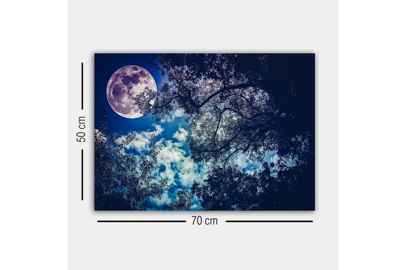 Canvastavla - Storslagen måne som lyser över en natthimmel med trädtoppar i silhuett - Mörkblå / Ljusblå / Vit - Inredning - Tavlor & konst - Canvastavlor