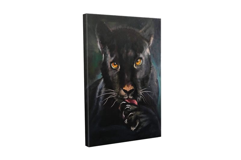 Canvastavla - Svart panter med intensiva ögon som slickar sin tass, Svart / Guld / Mörkgrön