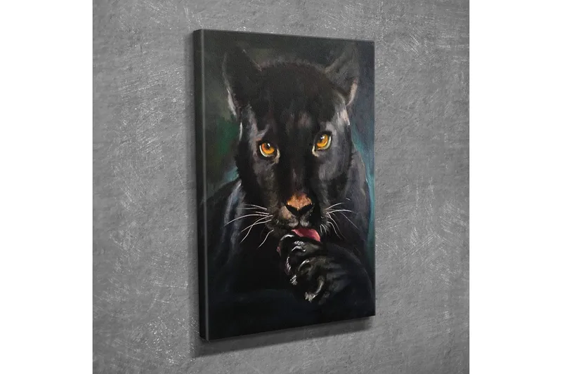 Canvastavla - Svart panter med intensiva ögon som slickar sin tass - Svart / Guld / Mörkgrön - Inredning - Tavlor & konst - Canvastavlor