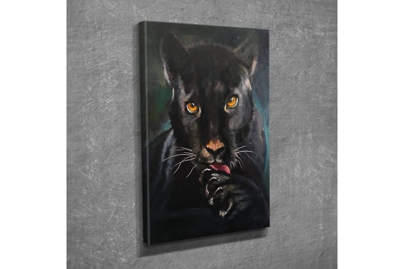 Canvastavla - Svart panter med intensiva ögon som slickar sin tass - Svart / Guld / Mörkgrön - Inredning - Tavlor & konst - Canvastavlor