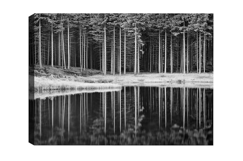 Canvastavla - Svartvit skogsscen med spegelbild i vattnet - Svart / Vitt / Grått - Inredning - Tavlor & konst - Canvastavlor