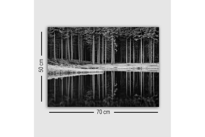Canvastavla - Svartvit skogsscen med spegelbild i vattnet - Svart / Vitt / Grått - Inredning - Tavlor & konst - Canvastavlor