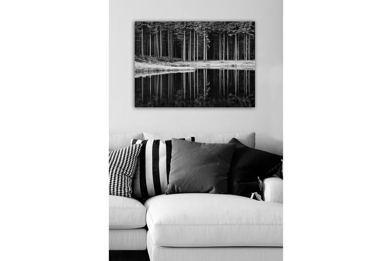 Canvastavla - Svartvit skogsscen med spegelbild i vattnet - Svart / Vitt / Grått - Inredning - Tavlor & konst - Canvastavlor