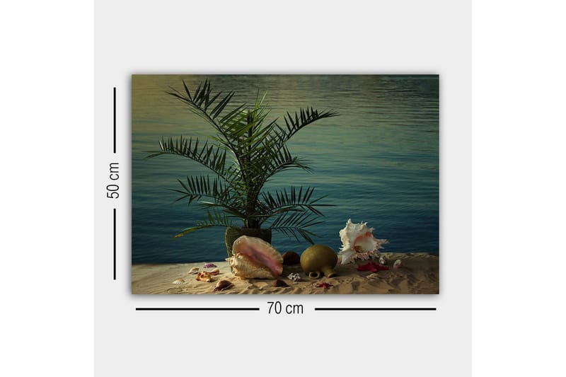 Canvastavla - Tropisk stillhet med palm och snäckor vid vattnet - Grön / Beige / Rosa - Inredning - Tavlor & konst - Canvastavlor