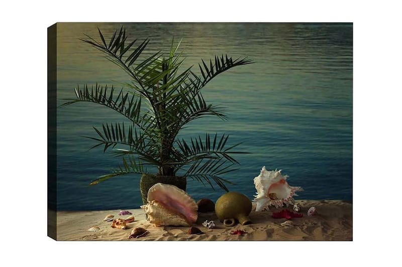 Canvastavla - Tropisk stillhet med palm och snäckor vid vattnet, Grön / Beige / Rosa