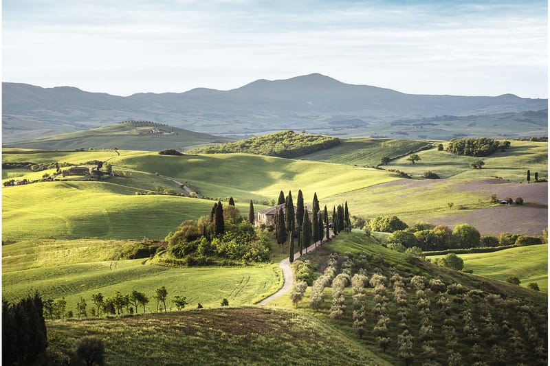 Canvastavla Tuscany, 80x120 cm