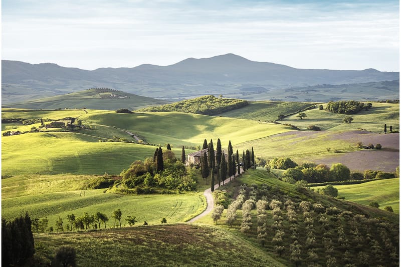 Canvastavla Tuscany, 80x120 cm