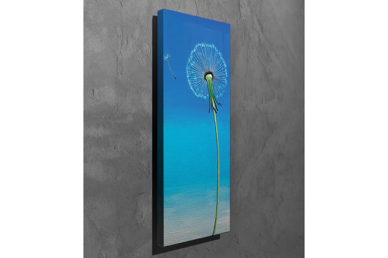 Canvastavla - Tussilago med blå bakgrund - Blå / Grön / Vit - Inredning - Tavlor & konst - Canvastavlor