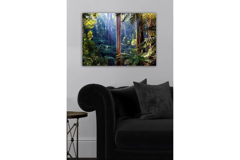 Canvastavla - Tyst skog med höga eukalyptusträd och frodig vegetation - Grön / Brun / Gul - Inredning - Tavlor & konst - Canvastavlor