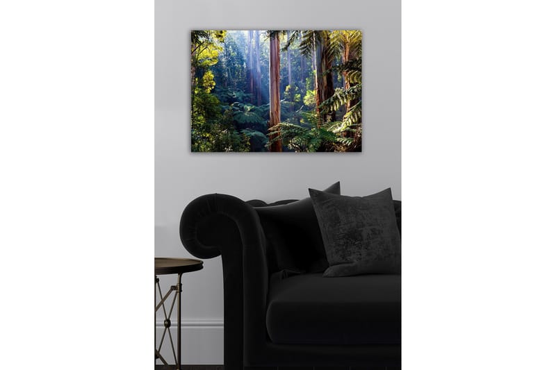 Canvastavla - Tyst skog med höga eukalyptusträd och frodig vegetation - Grön / Brun / Gul - Inredning - Tavlor & konst - Canvastavlor