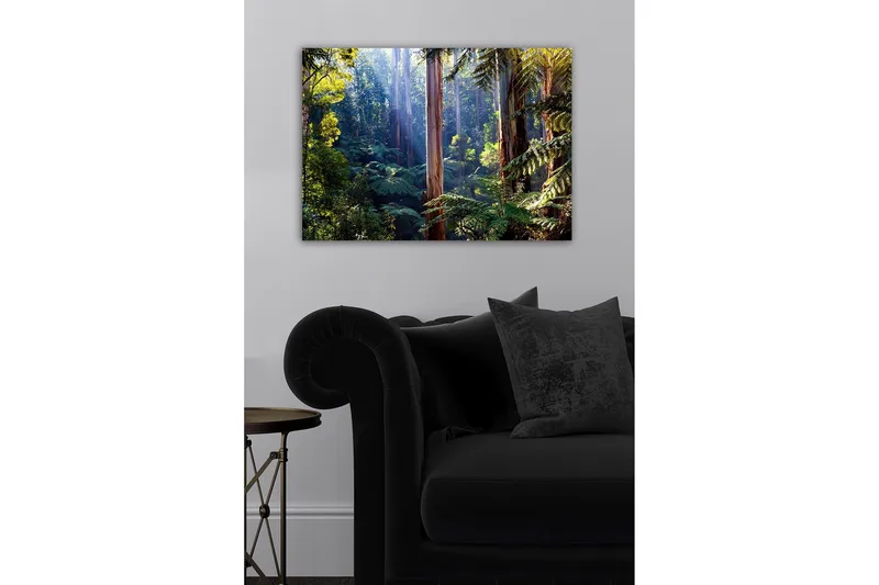 Canvastavla - Tyst skog med höga eukalyptusträd och frodig vegetation - Grön / Brun / Gul - Inredning - Tavlor & konst - Canvastavlor
