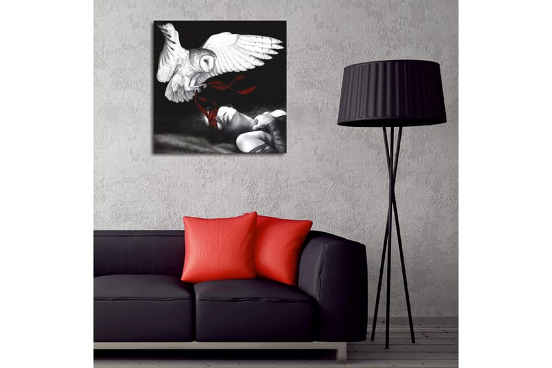 Canvastavla - Uggla som svävar över en sovande person med röda band - Vit / Svart / Röd - Inredning - Tavlor & konst - Canvastavlor