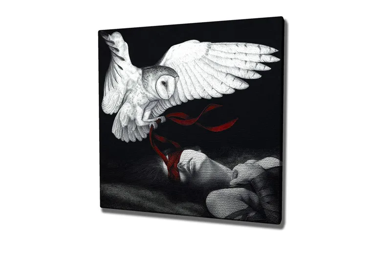 Canvastavla - Uggla som svävar över en sovande person med röda band, Vit / Svart / Röd