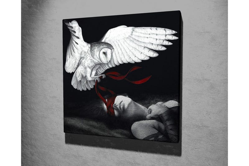 Canvastavla - Uggla som svävar över en sovande person med röda band - Vit / Svart / Röd - Inredning - Tavlor & konst - Canvastavlor