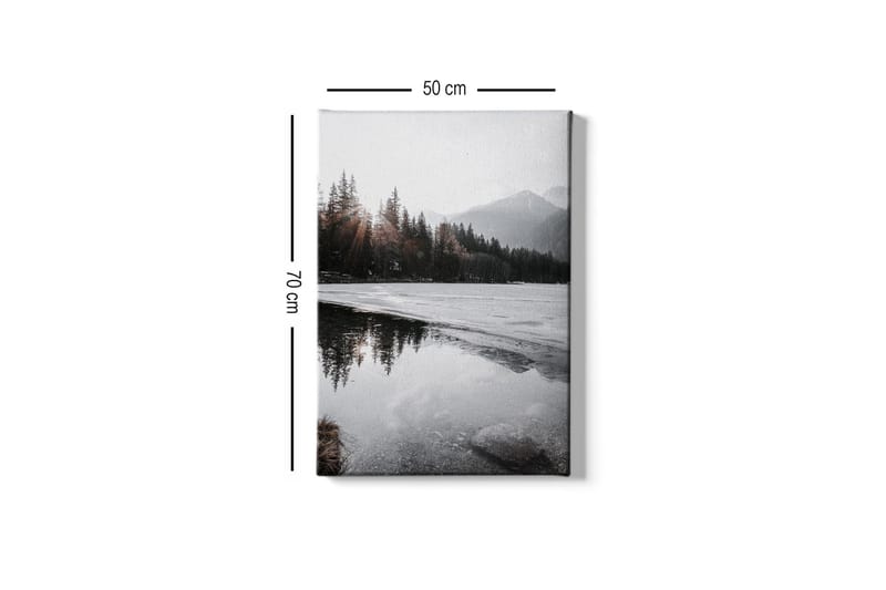 Canvastavla - Vacker vinterlandskap med frusna sjöar och snötäckta berg - Grå / Vit / Mörkgrön - Inredning - Tavlor & konst - Canvastavlor